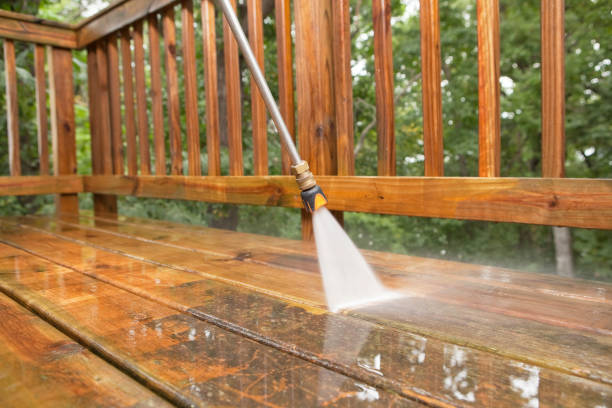 Roof Power Washing Services in West St Paul, MN