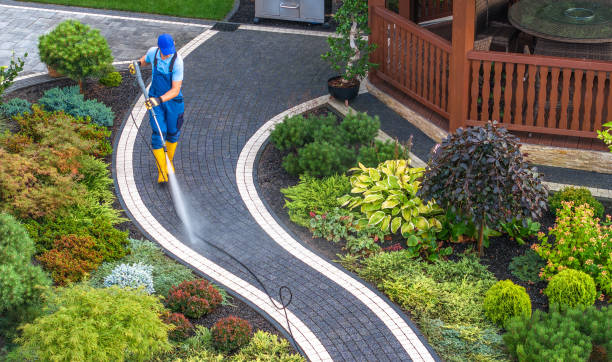 Best Roof Power Washing Services  in West St Paul, MN